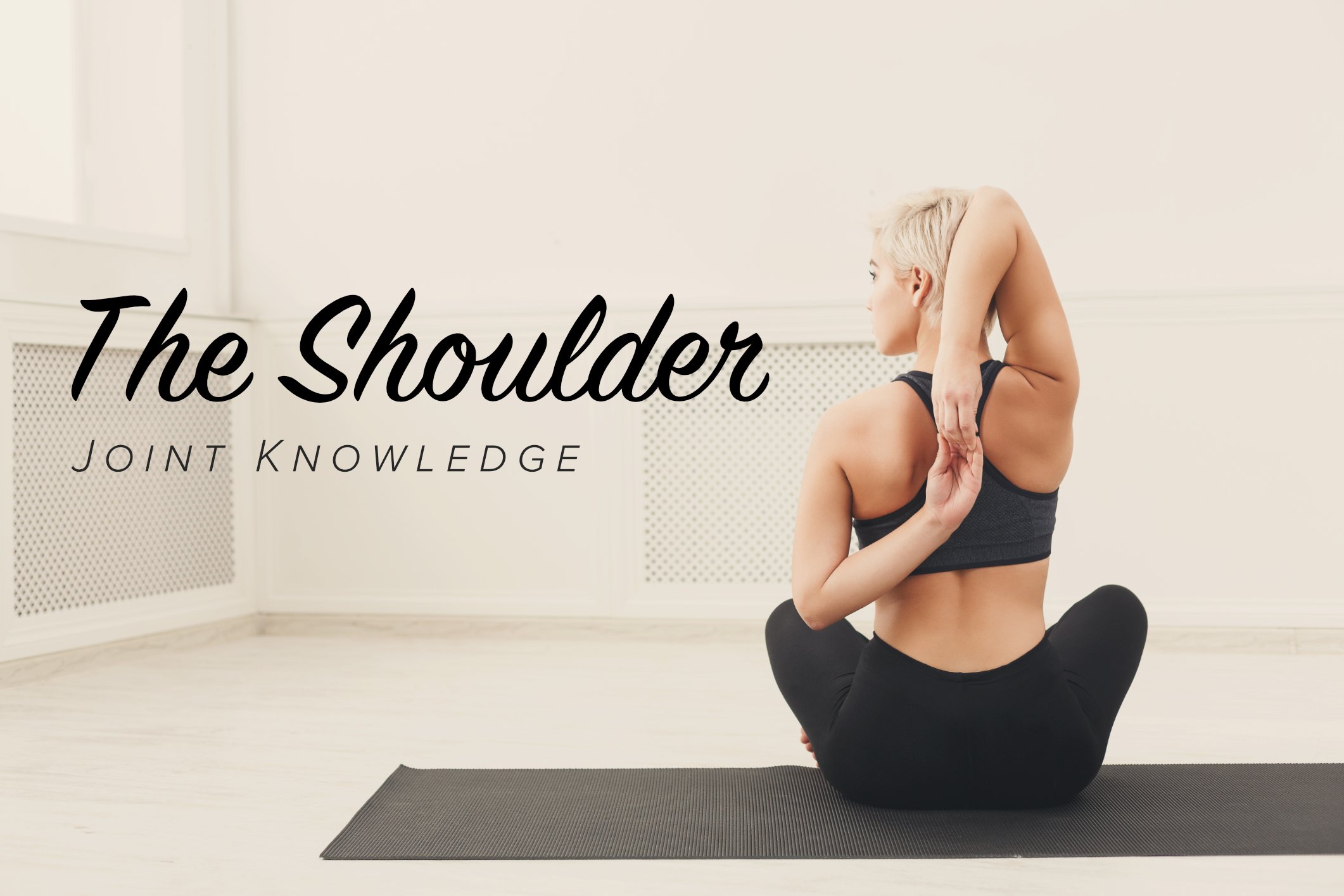 Joint Knowledge: The Shoulder